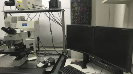 Confocal light microscope Olympus FV 1000 upright with imaging monitors